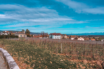 Duillier ,  les vignes et le lac Léman