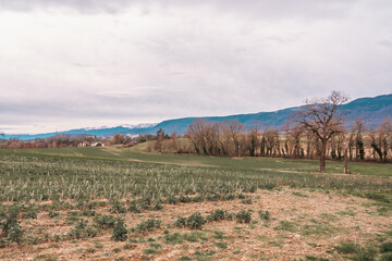 le Jura depuis Duillier, vaud