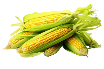 Corn on the Cob. Fresh corn on the cob with green husks removed revealing golden kernels. The corn...