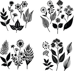 Set of botanical plant black and white