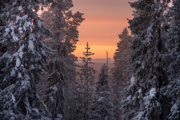 Winter landscape in Lapland Finland