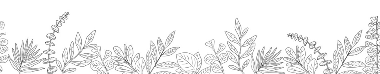 Seamless horizontal pattern, border with eucalyptus leaves line art drawing. Banner, botanical overlay backdrop. Black monochrome ink sketch hand drawn vector illustration on transparent background.
