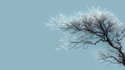 a tree with no leaves on it against a blue sky with a few white birds flying in the sky behind it.