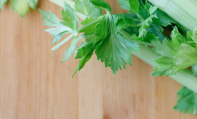 Fresh green celery close-up on wooden background
