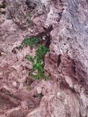 unique Rock 