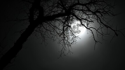 a black and white photo of the moon through the branches of a tree in front of a foggy sky.