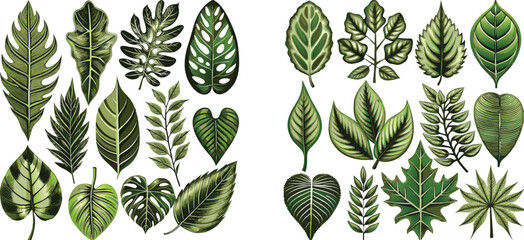 Set of tropical leaves vector