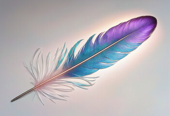 colorful shimmering iridescent feather isolated on a transparent background
