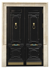 Entrance classic doors for the house