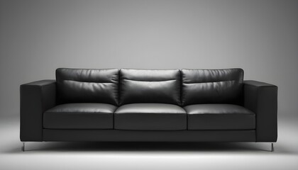 Black leather  sofa isolated on white