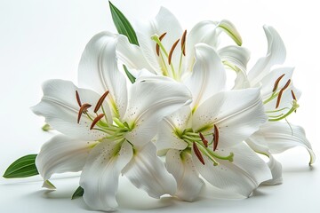 Obraz na płótnie Canvas White Lily flower bouquet isolated on white background 