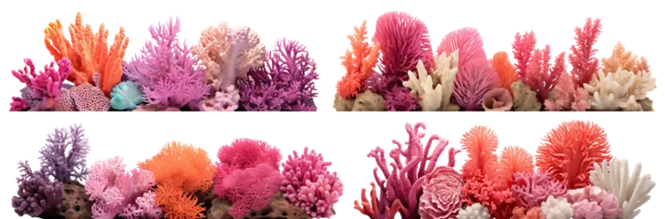 Foto auf Acrylglas Set of coral reefs cut out © Yeti Studio