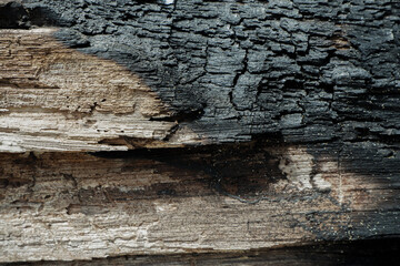 wood texture background burning and turning into wood charcoal. photo concept for forest burning, illegal logging causing climate change