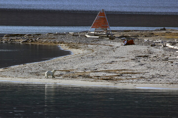 Paysage dans l archipel du Svalbard