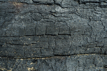wood texture background burning and turning into wood charcoal. photo concept for forest burning,...