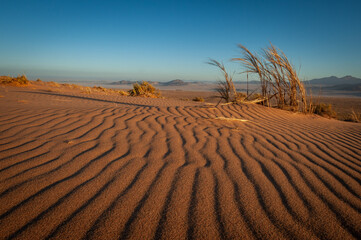 Sand wind patterns in the Namib dune