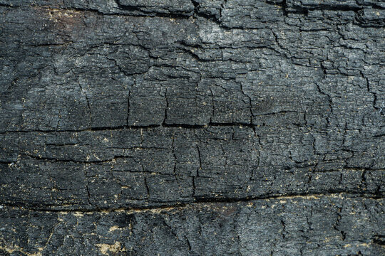 wood texture background burning and turning into wood charcoal. photo concept for forest burning, illegal logging causing climate change