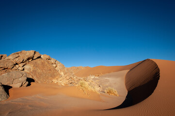 Bushman paradise in the Namib desert