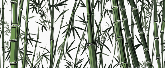 Fototapeta na wymiar bamboo drawing. oriental white and green elegant background