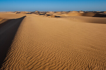 Dune in the Namib desert