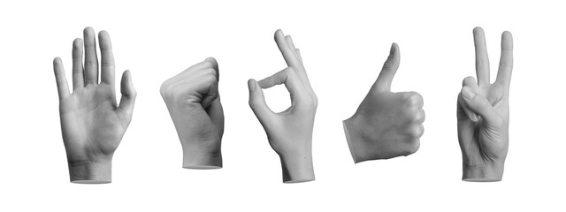 Hand gestures set. Hi, greeting, fist up, okay, thumb up, victory expressions isolated on white,...