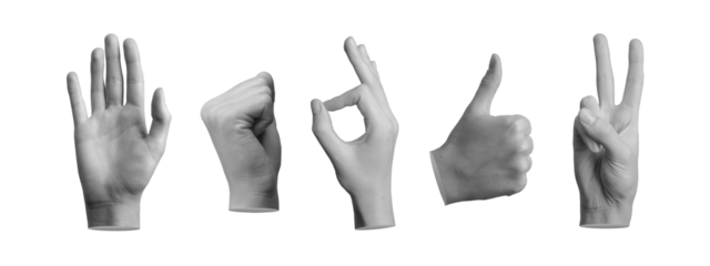 Hand gestures set. Hi, greeting, fist up, okay, thumb up, victory expressions isolated on white, transparent png