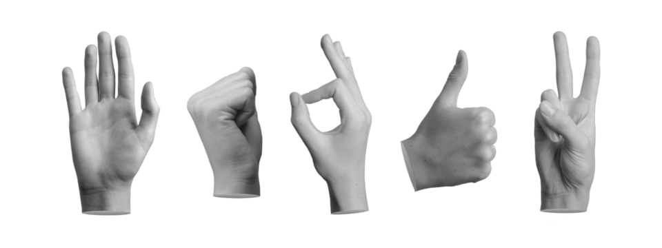 Hand gestures set. Hi, greeting, fist up, okay, thumb up, victory expressions isolated on white, transparent png