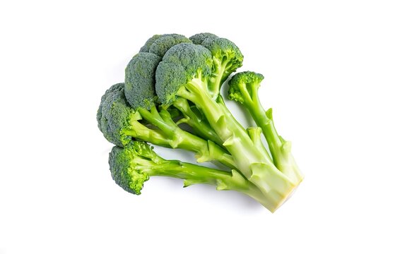 Raw green broccoli cabbage Isolated on white background