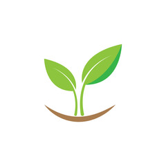 Leaves icon vector set isolated on white background. Various shapes of green leaves of trees and plants. Elements for eco and bio logos.