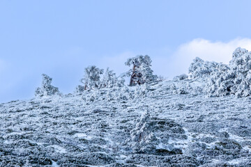 snowy landscapes of Puerto de Cotos in the Sierra de Guadarrama in Madrid in the month of February 2024