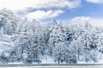 snowy landscapes of Puerto de Cotos in the Sierra de Guadarrama in Madrid in the month of February 2024