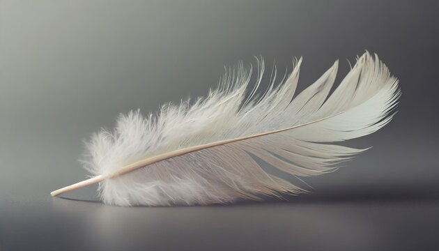 down feather soft white fluffly feather falling in ther swan feather
