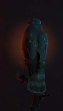 rotated animation of female sparrowhawk illuminated by abstract lights