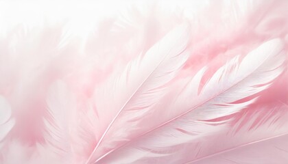 Fototapeta na wymiar beautiful abstract light pink feathers on white background white feather frame on pink texture pattern and pink background love theme wallpaper and valentines day white gradient
