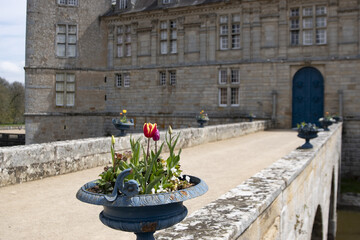 Fototapeta na wymiar Château de Sully en Bourgogne