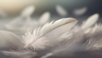 down feather soft white fluffly feather falling in ther swan feather
