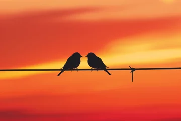 Zelfklevend Fotobehang Twilight Romance: Bird Silhouettes on a Wire  © Creative Valley