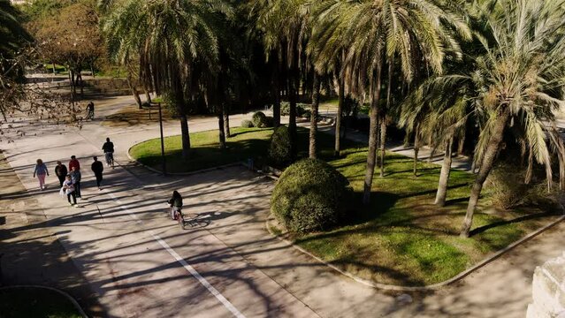 Walk through the green Turia Park in Valencia. A sunny warm day in mid-February in Spain. A popular place for active recreation.