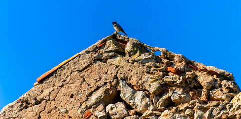 old stone house with a sparrow Atlantic coast Cabo Espichel Portugal