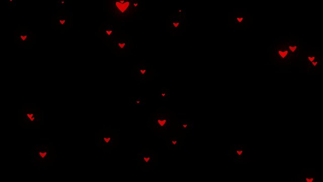 Rain of hearts. Smoothly falling red hearts. Animation on a transparent background alpha channel