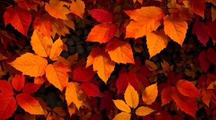 Fototapeta premium Autumn leaves in reds, oranges, and yellows overlapping in a vibrant display 