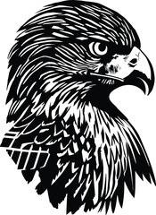 American Eagle silhouette - Falcon Head	