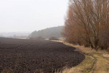 Black soil field near the forest