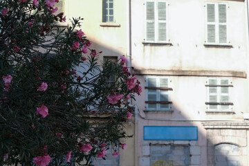 Romantic backstreet road alley in historic old town downtown Toulon, France with Mediterranean style house building facades and old little piazzas fountains picturesque city scenery