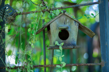 Bird houses are make nests for living.