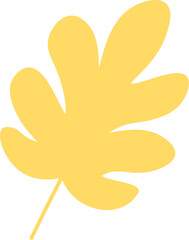 Autumn foliage hand drawn illustrations set. Tree leaves, herbarium isolated on yellow background