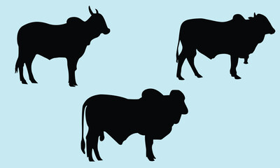 Vector cow set illustration