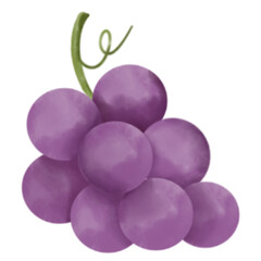 fruit