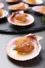 Delicious fried scallop in shell on grey table, closeup