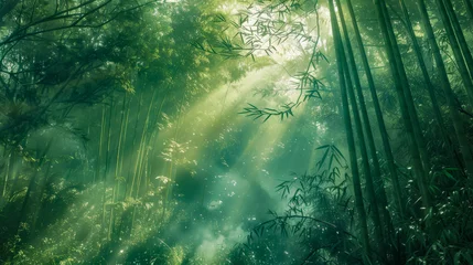 Schilderijen op glas Sunbeams filtering through the fog in a lush green bamboo forest, ai generated © Rajesh